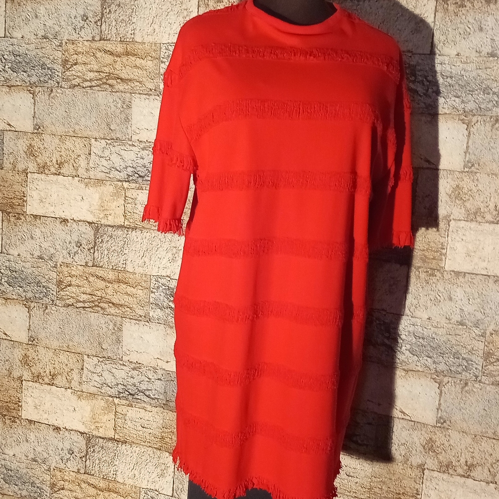 Zara red fringy dress (AAA)